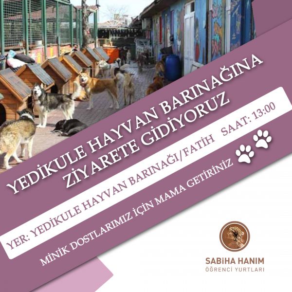 We are going to Yedikule Animal Shelter.